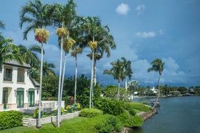 house among palm trees on the coast of florida