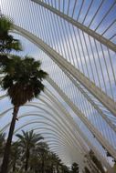 architecture of the building in the City of Arts and Sciences, Valencia