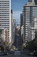 cityscape of san francisco buildings