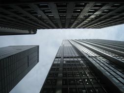 large skyscrapers in New York, United States