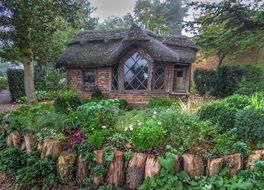 nature cottage cabin