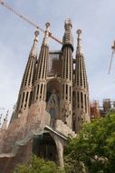 Sagrada FamÃ­lia cathedral spiers behind green trees, spain, barcelona