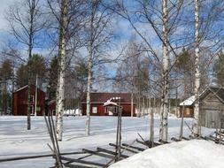 houses among the snowy landscape in Finland