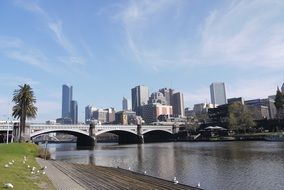 modern city on Yarra river banks at sunny day, australia, melbourne