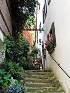 stone stairway