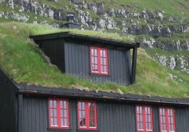 Wooden house with covered with grass roof