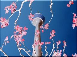 Tree branches at the background of the tower