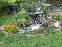 pond backyard