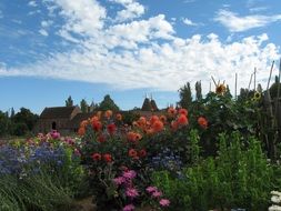 picturesque flowers in the park of the sissinghurst castle