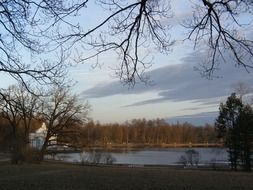 trees by the pond at dusk