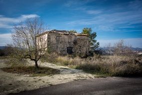 ruins of an old house among the picturesque nature