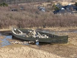 Viking traces in Poland