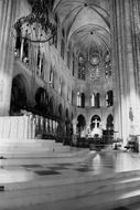 the cathedral notre dame