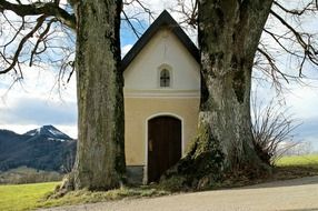 roadside chapel between two large trees