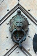 bronze door knocker in the shape of a lion