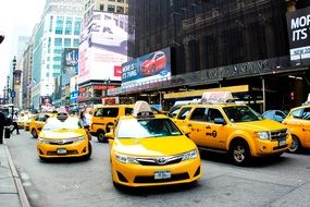 yellow taxi cars on a road