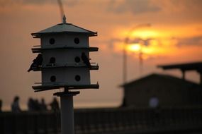 bird house at sunset