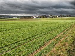 green field on a farm in Germany