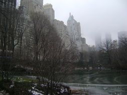 fog in the central park new york