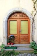 home door