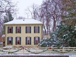 decorated house for christmas