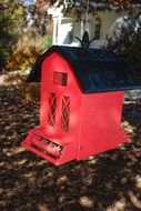 red bird feeder for birds near the house