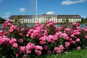 roses park and fountain