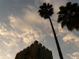 palm trees and the tower of the fortress against the evening sky