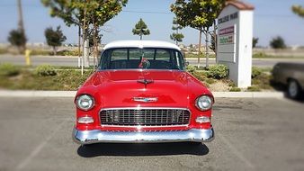 red tree car