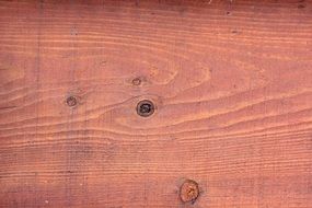 Redwood texture