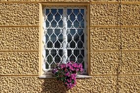 old window grilles