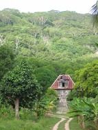 ruined house among the jungle with green plants