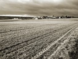 monochrome landscape