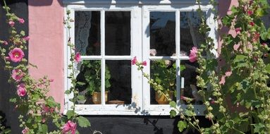 Picture of old house windows