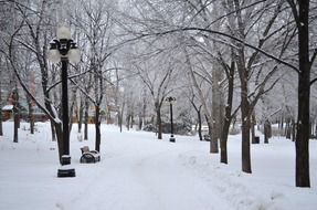 snow covered park in winnipeg, canada