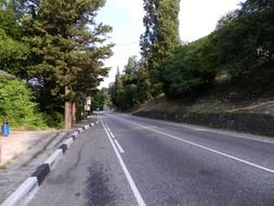 view of the highway through green trees