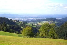 Landscape of green area in Freiburg