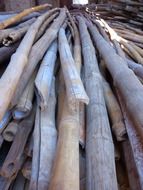 bamboo wood rods on a heap