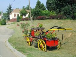 flower cart in hungary