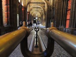 Popular museum of natural history in London