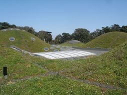 california academy