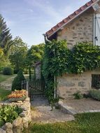 garden around an old house in france