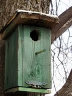 green wooden birdhouse on a tree