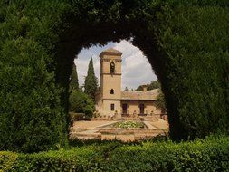 old building hedge