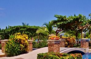 landscape of bridge in a park in costa rica