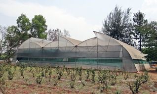 hothouse greenhouse, gokak, india