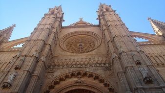 bottom view of the Palma Cathedral