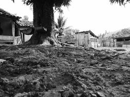 black and white photo of dirt road