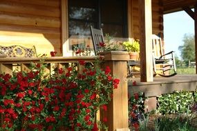 red flowers on the porch of the house