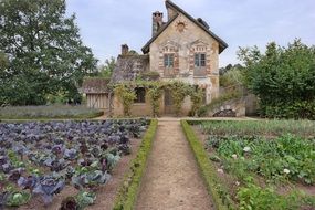 landscape of medieval mansion with garden